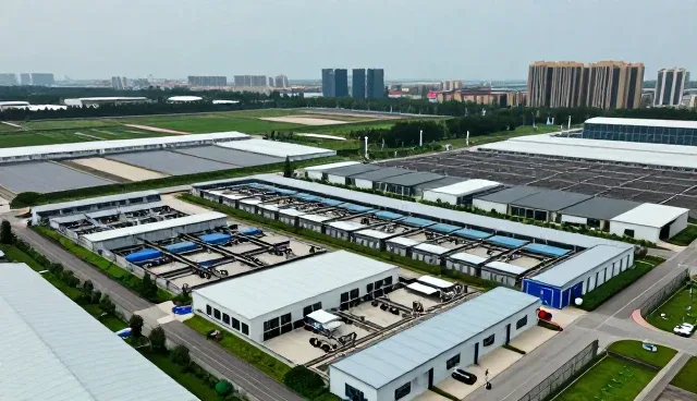 康复指导服务中如何实现定制化方案的落地